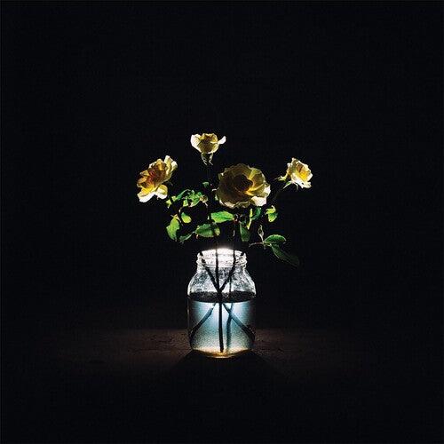 Billy Strings- Renewal { vinyl }