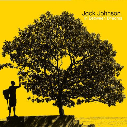 Jack Johnson- In Between Dreams { vinyl }