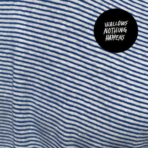 Wallows- Nothing Happens { vinyl }