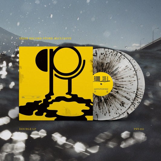 Hippo Campus- Flood (Indie Exclusive Vinyl) (Clear Galaxy 2x Vinyl LP) { vinyl }